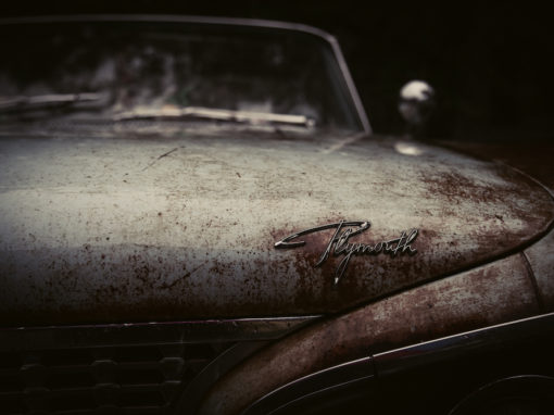 Passionate about cars